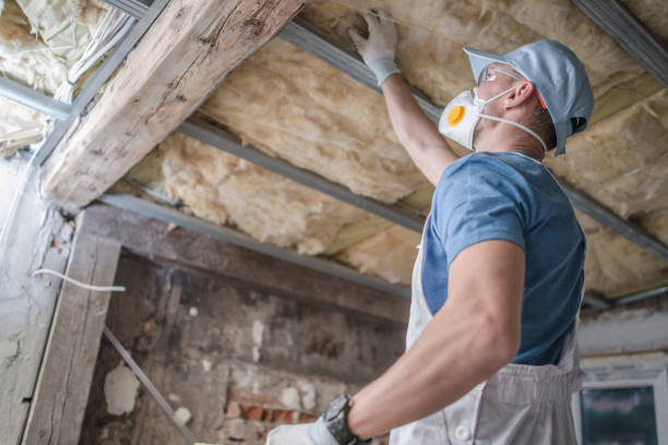 Best Insulation for Specific Applications in Ellwood City, PA